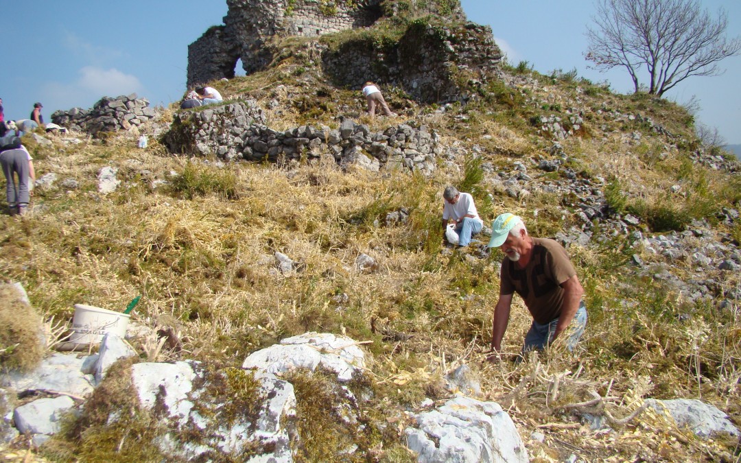 2012 : Compte-rendu Prospection Archéologique pour l’étude du château et de son territoire